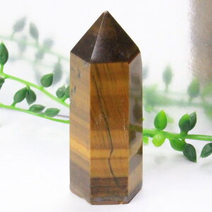 �^�C�K�[�A�C �|�C���g�b�^�C�K�[�Y�A�C �Ֆڐ� Tigereye �L���b�c�A�C �^�C�K�[�A�C ���� �|�C���g �C���e���A �� �N���X�^�[ ���^ �d���^ �����^ ���f�� �A�b�v Point �� �� �u���b�����Y ��