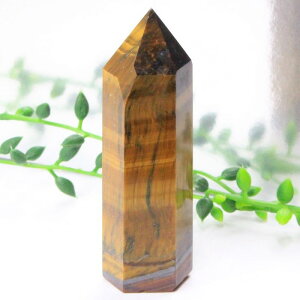 �^�C�K�[�A�C �|�C���g�bTigereye �^�C�K�[�Y�A�C �Ֆڐ� �^�C�K�[�A�C ���� �|�C���g �C���e���A �� �N���X�^�[ ���^ �d���^ �����^ ���f�� �A�b�v Point �� �� �u���b�����Y ���f�B�[�X �l�C 