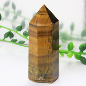 ^CK[AC |CgbՖڐ Tigereye ^CK[YAC LbcAC ^CK[AC u |Cg CeA Point   NX^[  򉻁bY fB[X VR  _ ^C