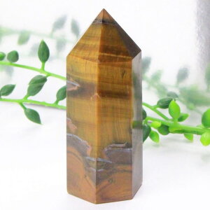 �^�C�K�[�A�C �|�C���g�b�^�C�K�[�Y�A�C �Ֆڐ� Tigereye �L���b�c�A�C �^�C�K�[�A�C ���� �|�C���g �C���e���A �� �N���X�^�[ ���^ �d���^ �����^ ���f�� �A�b�v Point �� �� �u���b�����Y ��