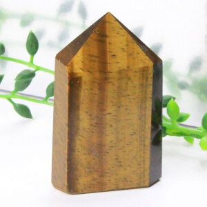 �^�C�K�[�A�C �|�C���g�b�Ֆڐ� Tigereye �^�C�K�[�Y�A�C �L���b�c�A�C �^�C�K�[�A�C ���� ���^ �d���^ �����^ ���f�� �A�b�v Point �� �u�� �|�C���g �C���e���A �� �� �N���X�^�[�b�����Y ��