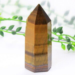 �^�C�K�[�A�C �|�C���g�bTigereye �^�C�K�[�Y�A�C �Ֆڐ� �^�C�K�[�A�C ���� �|�C���g �C���e���A Point �� ���^ �d���^ �����^ ���f�� �A�b�v �u�� �� �� �N���X�^�[�b�����Y ���f�B�[�X ��_