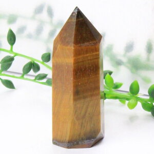 �^�C�K�[�A�C �|�C���g�b�^�C�K�[�Y�A�C �Ֆڐ� Tigereye �L���b�c�A�C �^�C�K�[�A�C ���� �|�C���g �C���e���A �� �N���X�^�[ ���^ �d���^ �����^ ���f�� �A�b�v Point �� �� �u���b�C�O���A