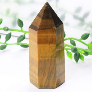 ^CK[AC |CgbTigereye ^CK[YAC LbcAC Ֆڐ ^CK[AC u |Cg CeA Point   NX^[  򉻁bY fB[X lC  VR C