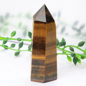 �^�C�K�[�A�C �|�C���g�b�Ֆڐ� Tigereye �^�C�K�[�Y�A�C �L���b�c�A�C �^�C�K�[�A�C ���� �� Point �� �� �u�� �� �N���X�^�[�b�����Y ���f�B�[�X �V�R�� ���� ��_�� �^�C�K�[�A�C