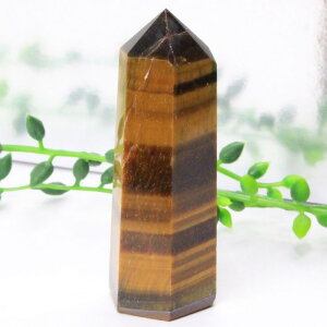 �^�C�K�[�A�C �|�C���g�b�Ֆڐ� Tigereye �^�C�K�[�Y�A�C �L���b�c�A�C �^�C�K�[�A�C ���� ���^ �d���^ �����^ ���f�� �A�b�v Point �� �u�� �|�C���g �C���e���A �� �� �N���X�^�[�b�����Y ��