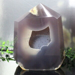  |CgbAQ[g mE ߂̂   u |Cg CeA Point   gW[mE WI[hbY fB[X lC  VR COA y|Cg