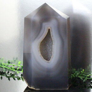  |CgbAQ[g ߂̂ mE  u |Cg CeA Point   gW[mE WI[hbY fB[X VR  _ y|Cgiz