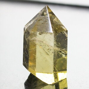 Vg |CgbCitrine  ^  K^ ɐ Vg Vg  u  CeA Point  |CgbY fB[X lC  VR COA Vg