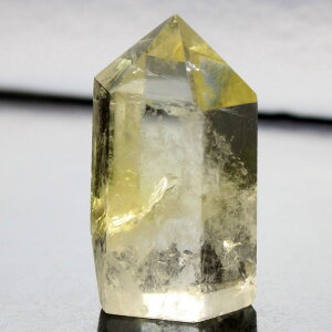 yIi _zVg |CgbVg  Citrine ^ K^  ɐ Vg  u  CeA Point  |CgbY fB[X _ p[Xg[