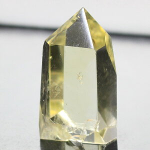 Vg |CgbCitrine  ^  K^ ɐ Vg Vg  u  CeA Point  |CgbY fB[X lC  VR COA Vg