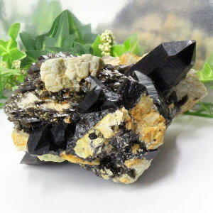 yrbNTCY 傫 TCYzI NX^[bMorion I   ׋C   NX^[ Cluster  CeA ubY fB[X p[Xg[ lC 