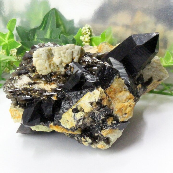 楽天市場】【ビックサイズ 大きい サイズ】モリオン クラスター  