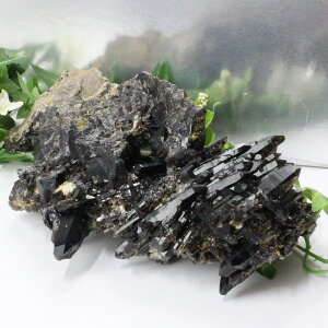 yrbNTCY 傫 TCYzI NX^[bMorion I   Cluster  ׋C NX^[   CeA ubY fB[X lC  VR C