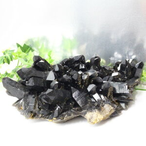 yrbNTCY 傫 TCYzI ΁bI Morion  NX^[ Cluster  ׋C    CeA ubVR  p[Xg[  _ I