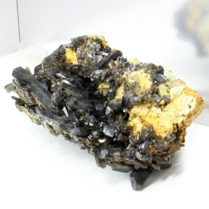 yrbNTCY 傫 TCYzI NX^[bI Morion   ׋C   NX^[ Cluster  CeA ub p[Xg[ I VR l