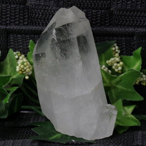  |Cg Crystal 傤 bNNX^ NH[c    q}NX^[ u q} 򉻗p |Cg }jJY }jJ Y  _ p