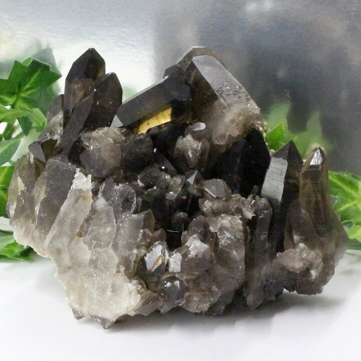 楽天市場】【一点物 現物】モリオン クラスター 黒水晶 Morion 