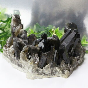 I NX^[  Morion I  ׋C   NX^[ Cluster  CeA u INX^[ COAi LuLu HouseinEX ͂j I