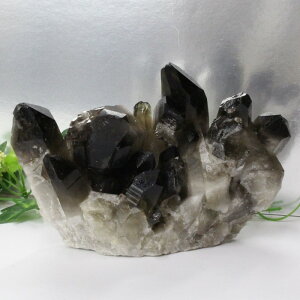 I NX^[  Morion I   CeA u Cluster ׋C   NX^[ INX^[ Y fB[X p[Xg[ lC  VR C