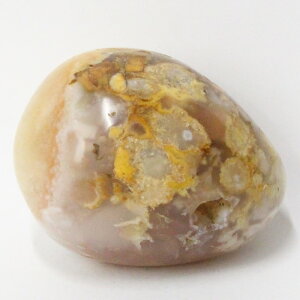 ���� ���� ���m�E �߂̂� �A�Q�[�g agate ���� ���� ��� �N���X�^�[ �� �u�� �C���e���A ������ ���팴�� �����Y ���f�B�[�X �l�C �������� ���� �V�R�� ����y�|�C���g�������i�z