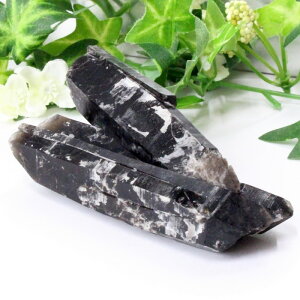 y_ zI NX^[  Morion I  |Cg   ׋C NX^[ u Point   CeA INX^[ Y fB[X lC 