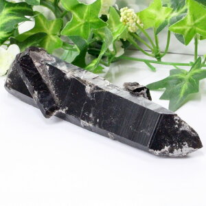 I NX^[  Morion I  NX^[ u Point   CeA |Cg   ׋C INX^[ Y fB[X lC   VR 