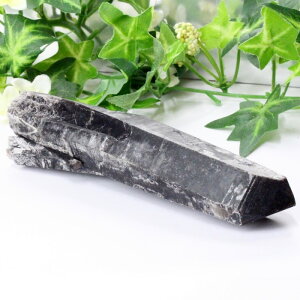 yA 1_zI NX^[  Morion I   ׋C NX^[ u Point   CeA |Cg  INX^[ Y fB[X _ACe