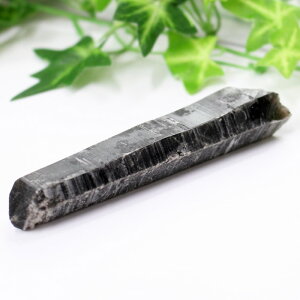 I  NX^[   |Cg I |Cg _ I