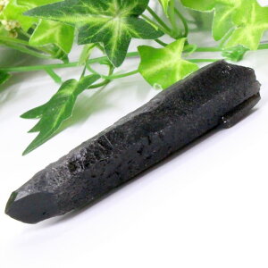 I  |Cg  Morion I NX^[ u    |Cg  z  ׋C CeA I |Cg  p[Xg[ I VR