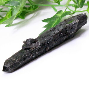 I  |Cg  Morion I |Cg NX^[ u   z CeA |Cg   ׋C I |Cg COAi LuLu HouseinEX 