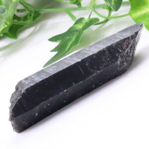 I  |Cg  Morion I NX^[  ׋C u    |Cg  z CeA I |Cg  p[Xg[  VR 