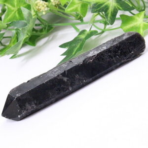 y_ zI  |Cg I Morion  NX^[  ׋C u    |Cg  z CeA I |Cg Y fB[X lC 