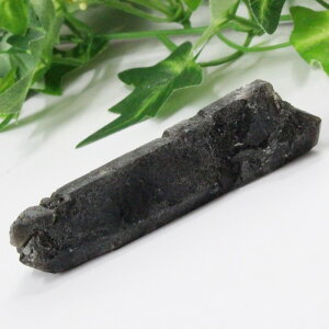 y_ zI  |Cg  Morion I NX^[   |Cg  z ׋C  I |Cg Y fB[X p[Xg[ lC 