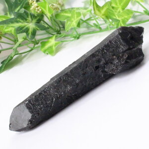 yA 1_zI NX^[ I Morion  NX^[  |Cg   ׋C u  z CeA INX^[ Y fB[X _ACe 