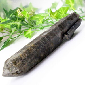 yA 1_zI NX^[  Morion I  NX^[ u  z CeA |Cg   ׋C INX^[ Y fB[X VR  _