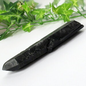 I NX^[ I Morion   |Cg   ׋C NX^[ u  z CeA INX^[ COAi LuLu HouseinEX ͂j