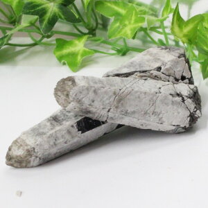 y _zI NX^[ I Morion   |Cg   ׋C NX^[ u  z CeA INX^[ COAi LuLu HouseinE