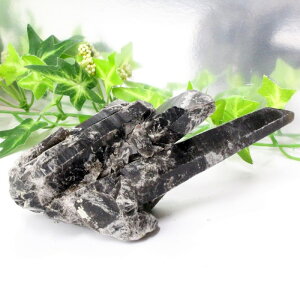 I NX^[  Morion I NX^[  |Cg   ׋C u  z CeA INX^[ Y fB[X _ACe VR I