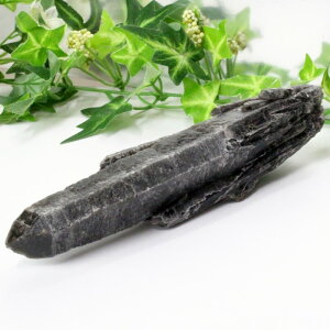 I NX^[  Morion I    ׋C |Cg NX^[ u  z CeA INX^[ p[Xg[  lC  VR CO