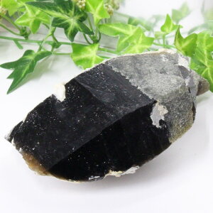 y _zI NX^[ I Morion   |Cg   ׋C NX^[ u  z CeA INX^[ p[Xg[  lC 