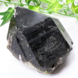 yA 1_zI NX^[  Morion I   ׋C NX^[ u  z CeA |Cg  INX^[ Y fB[X lC  V