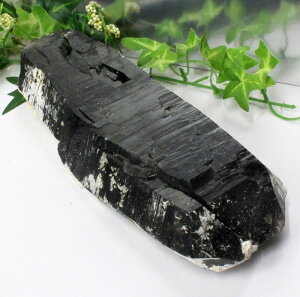 I NX^[  Morion I    ׋C |Cg NX^[ u   z CeA INX^[ Y fB[X p[Xg[ lC 