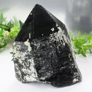 yA 1_zI NX^[ I Morion    ׋C NX^[ u   z CeA |Cg  INX^[  p[Xg[ I