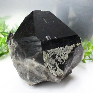 I NX^[  Morion I  NX^[ u   z CeA |Cg   ׋C INX^[ Y fB[X  _ p[Xg[ 