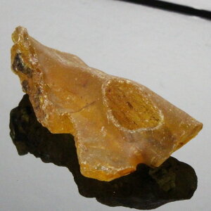 [͂]  Ao[ Amber  RnN  ^ K^  ^Abv [͂]  p[Xg[  VR lC [͂]