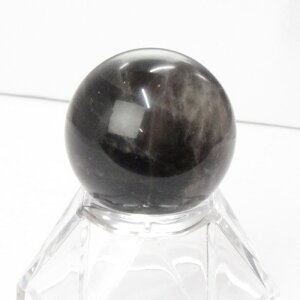 y29mm  _zI ۋ Morion  I   ׋C   u   ۋ    Iۋ p[Xg[ ۋ lC  VR CO