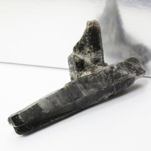 y _zI NX^[ I Morion   NX^[ u  CeA   ׋C INX^[ Y fB[X lC  VR CO