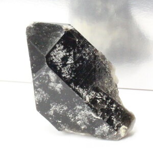 y _zI NX^[  Morion I  NX^[ u  CeA   ׋C INX^[  p[Xg[  VR lC 