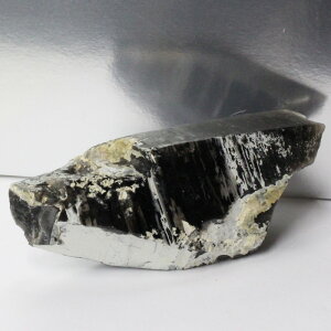 y _zI NX^[ I Morion    ׋C NX^[ u  CeA  INX^[ Y fB[X  _ p[Xg[ 